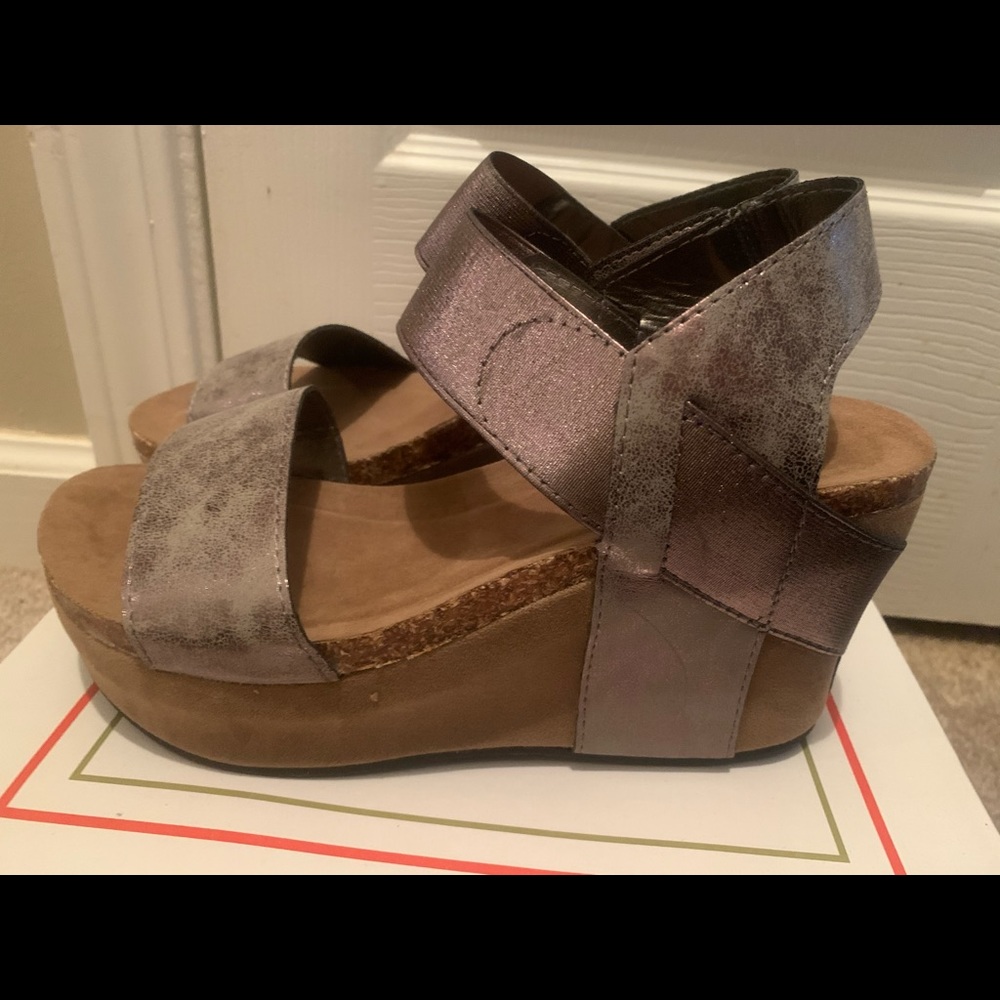 Pierre Dumas wedges